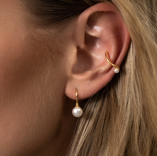Hook on earrings deals